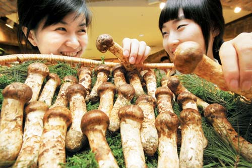 송이유통 이미지