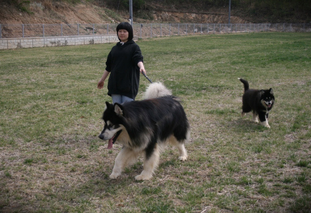 머리에 꽃달다 이미지