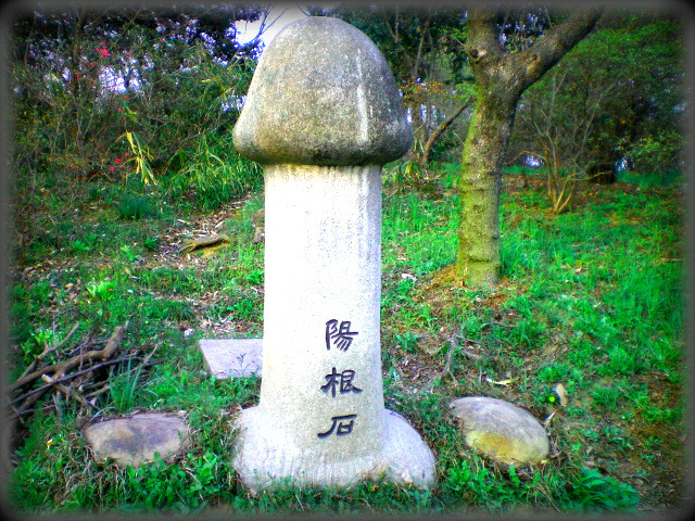 À̹ÌÁö¸¦ Ŭ¸¯ÇÏ¸é ¿øº»À» º¸½Ç ¼ö ÀÖ½À´Ï´Ù.