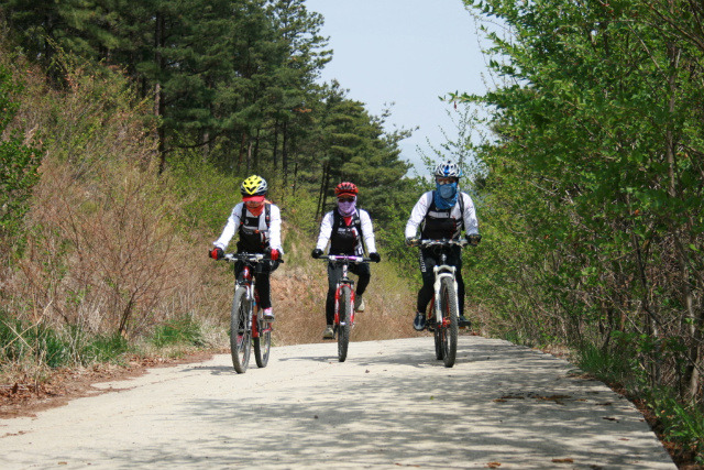 일MTB 이미지