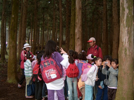 삼양초등학교 이미지